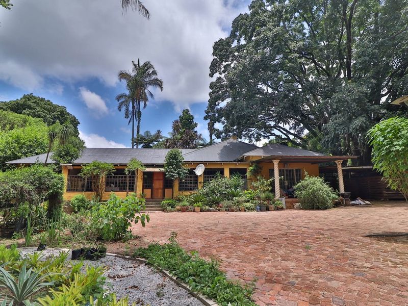 Wow Lush Gardens, Old Houses, Centrally Located, Mac Trees, Income Earning  - Photo 3