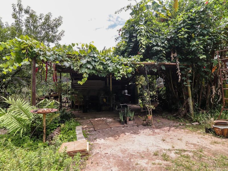 Wow Lush Gardens, Old Houses, Centrally Located, Mac Trees, Income Earning  - Photo 4