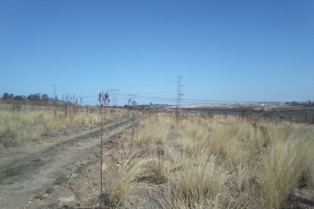 42 HECTARES VACANT LAND FOR RENTAL - Photo 2