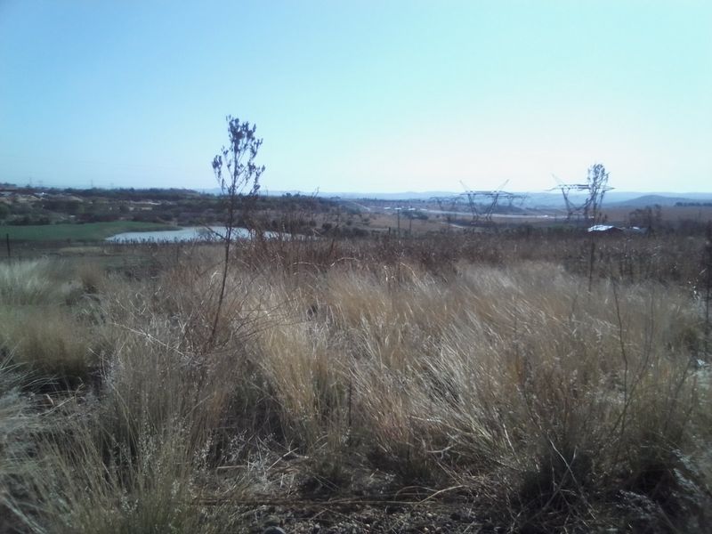 42 HECTARES VACANT LAND FOR RENTAL - Photo 9