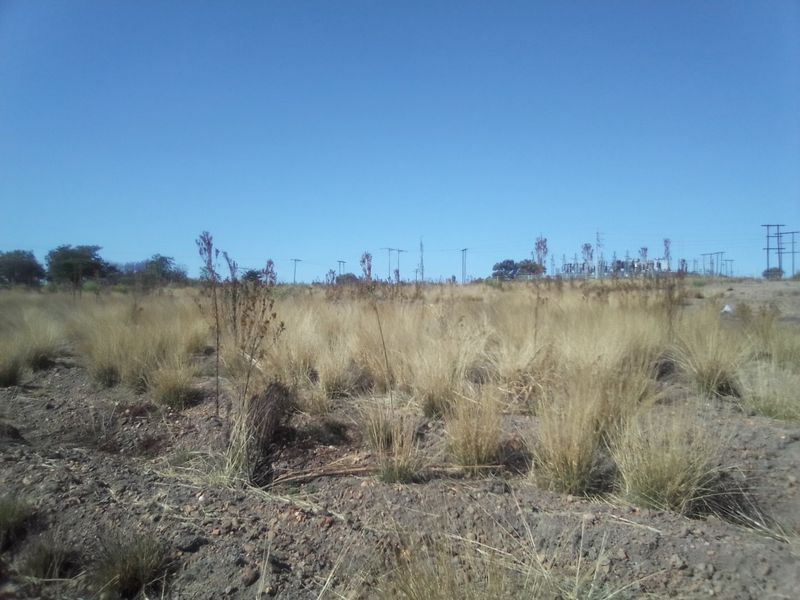 42 HECTARES VACANT LAND FOR RENTAL - Photo 6