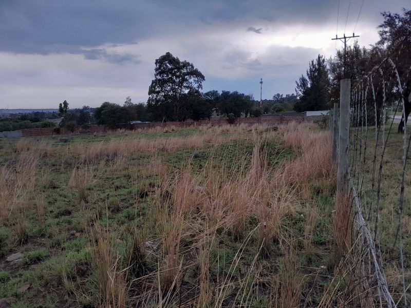 1000 SQUARE METERS VACANT LAND PROPERTY FOR RENT - Photo 5