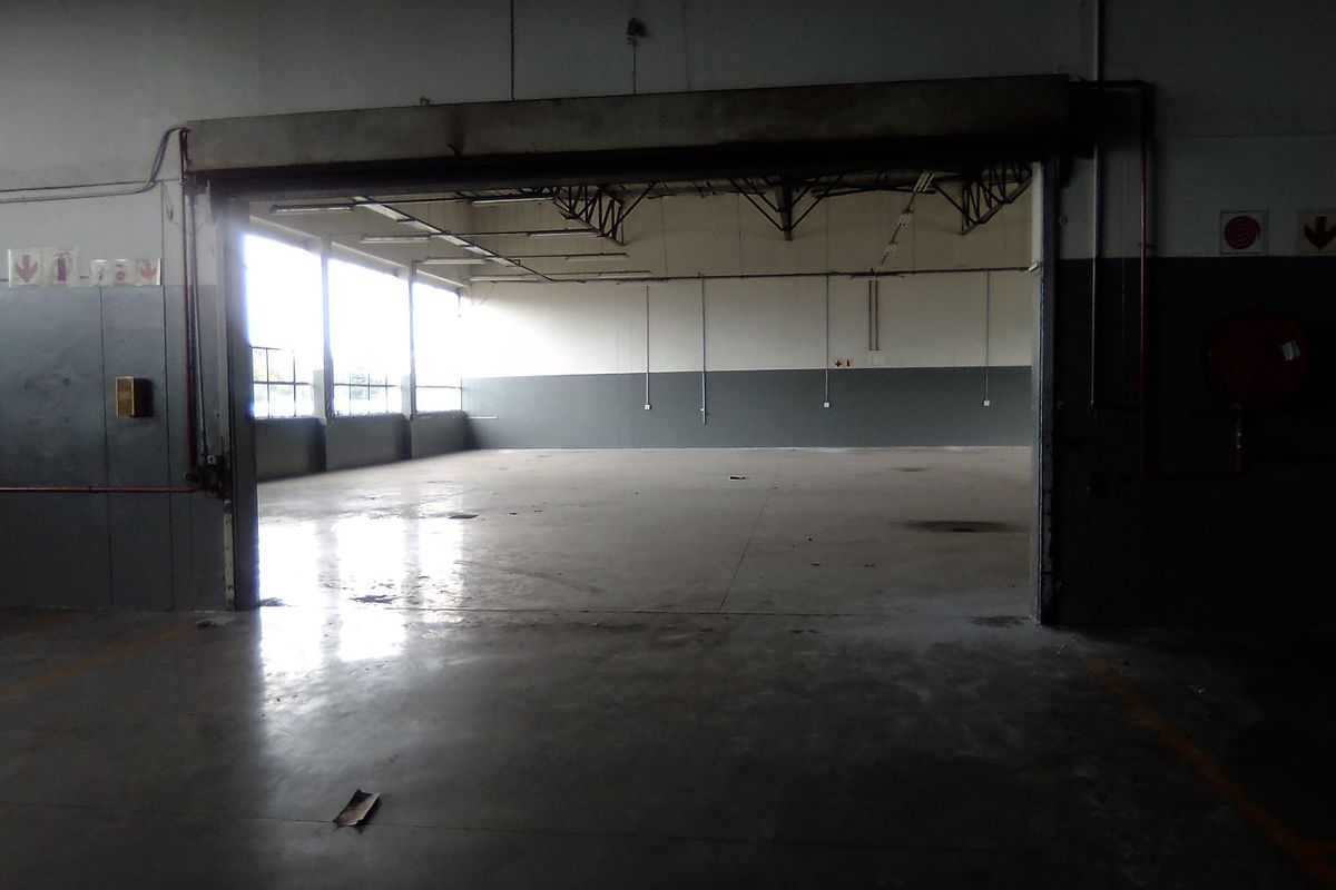 Spacious industrial utility area featuring concrete flooring, exposed steel roof trusses, and a large roller shutter door for easy access.