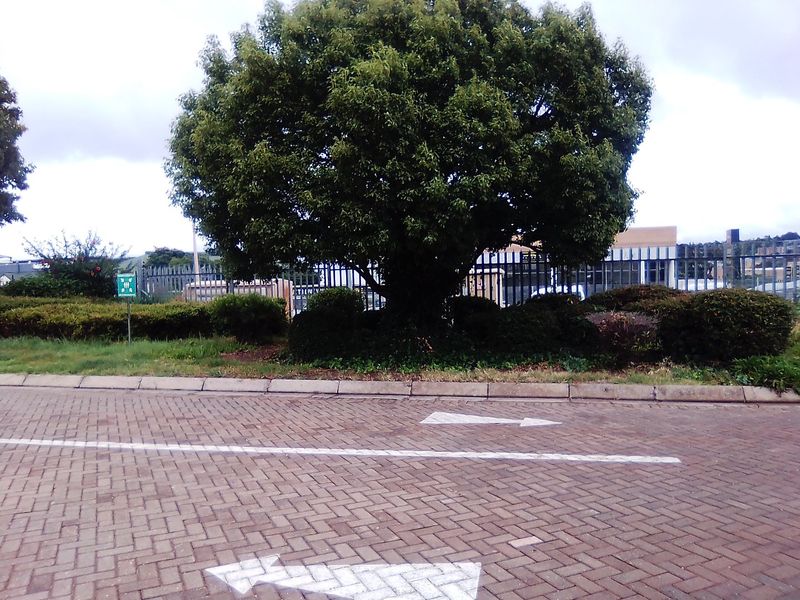 GENERAL BUSINESS PROPERTY FOR RENTAL - Photo 4