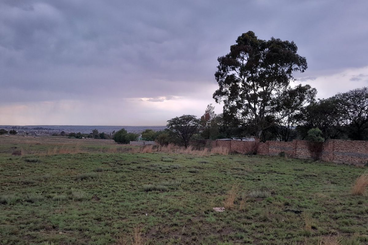A view of a vacant residential plot featuring a boundary wall, mature trees, and an expansive landscape under a cloudy sky.