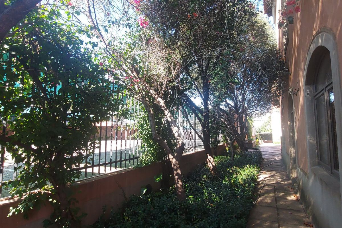A side exterior walkway featuring a paved path, mature garden landscaping, and perimeter metal fencing alongside the building structure.