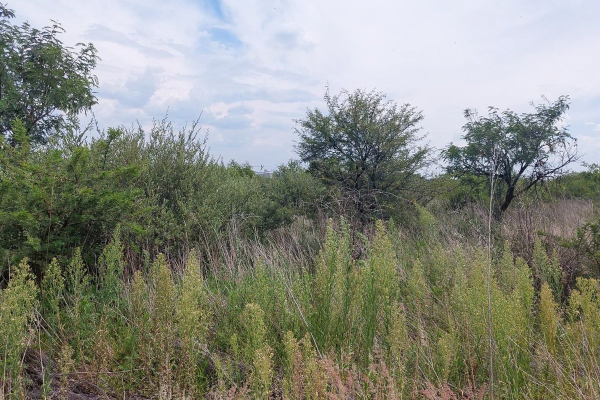 2289 SQUARE METRES VACANT STAND  - Photo 2