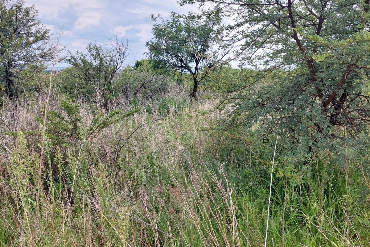 2289 SQUARE METRES VACANT STAND  - Photo 3