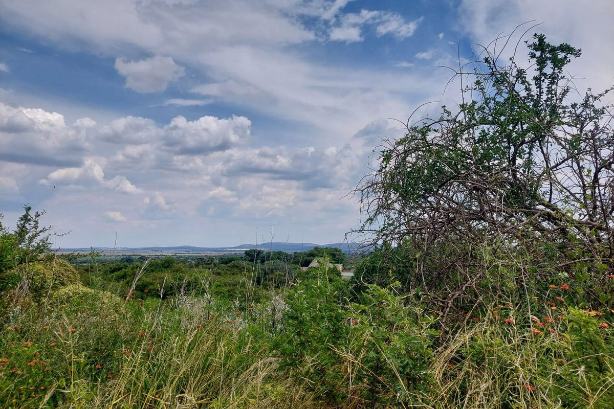 2289 SQUARE METRES VACANT STAND  - Photo 4