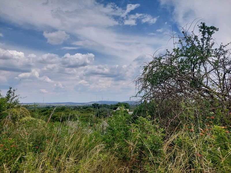 2289 SQUARE METRES VACANT STAND  - Photo 4