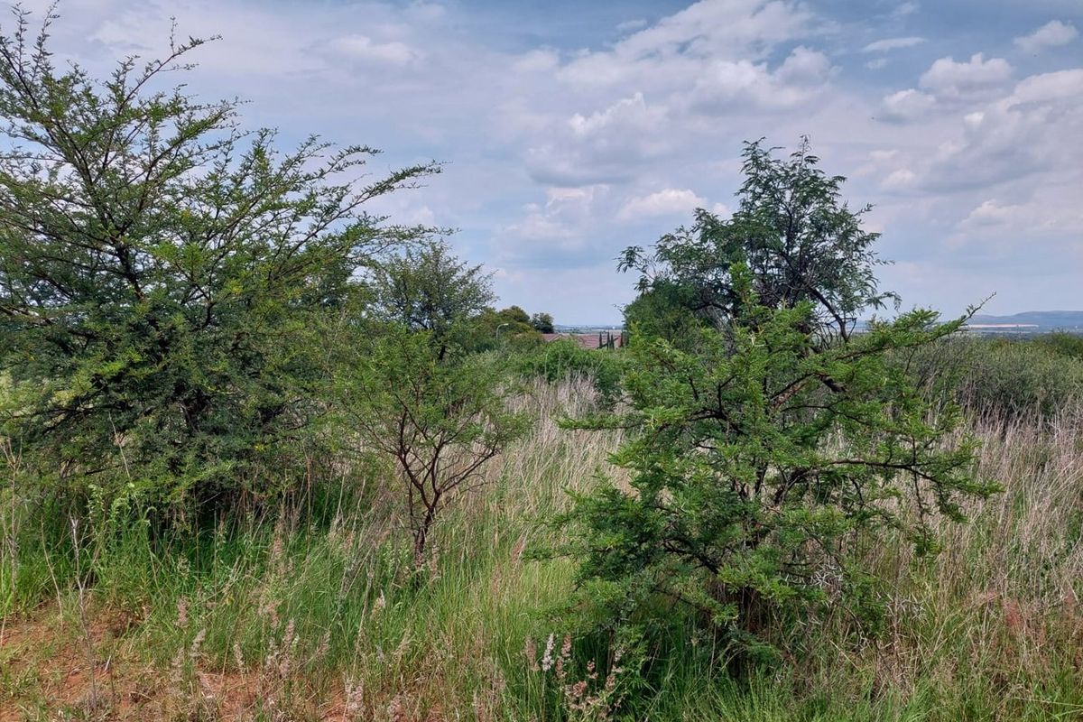 2289 SQUARE METRES VACANT STAND  - Photo 5