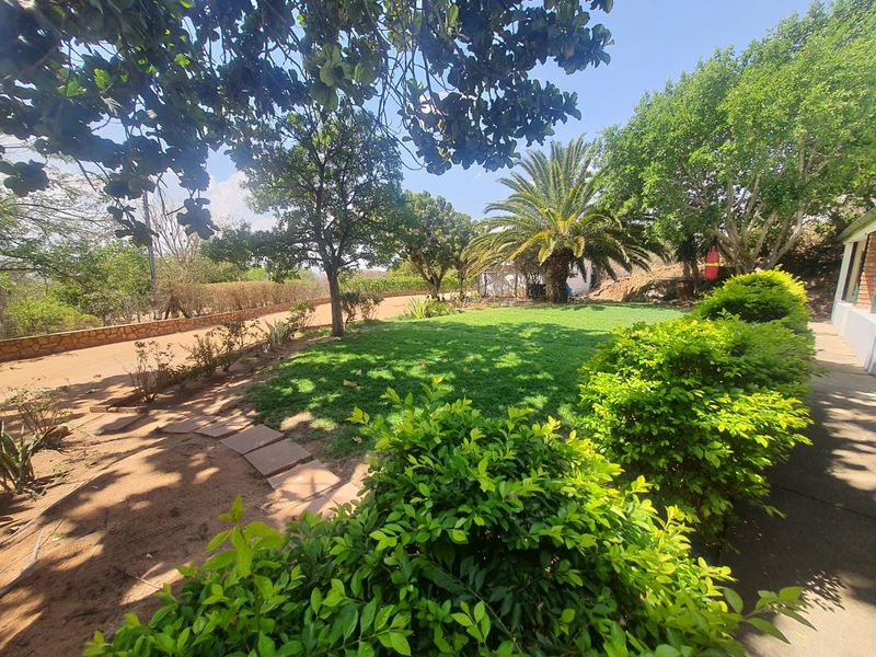 A well-maintained garden area featuring a lush green lawn, mature trees, and established hedging, providing a peaceful outdoor space.