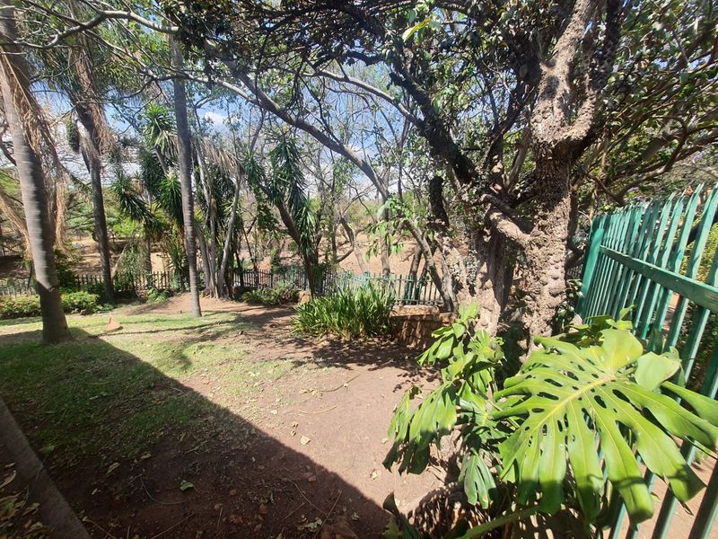 A shaded garden area featuring mature trees, established landscaping, and secure metal perimeter fencing on the property boundary.