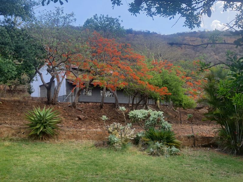 A view of the rear farm building facade featuring a stone retaining wall, mature trees, and a metal roof structure.