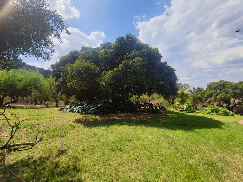 A spacious, well-maintained garden area featuring a large, mature tree as a focal point within the farm landscape.