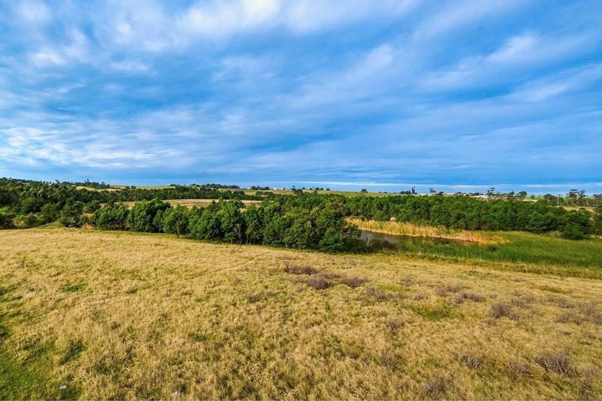 An aerial view of a vacant residential land plot featuring natural grass, mature trees, and a small water body.
