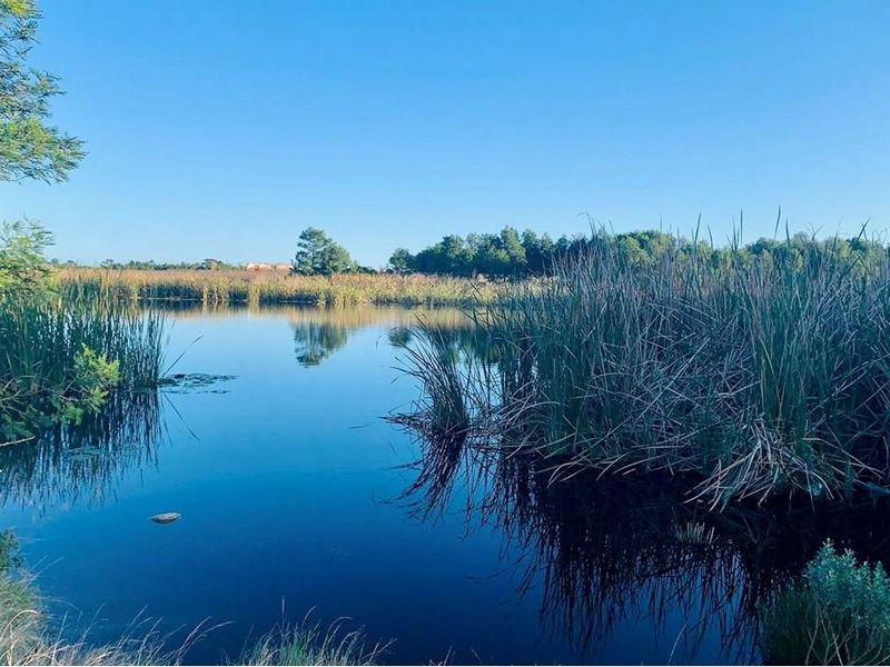 DEVELOPMENT LAND FOR SALE IN IN HANSMOESKRAAL, GEORGE - Photo 4