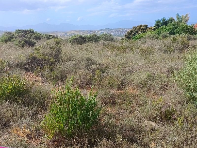 Hartenbos Heuwels: Exciting New Construction Opportunity! - Photo 8