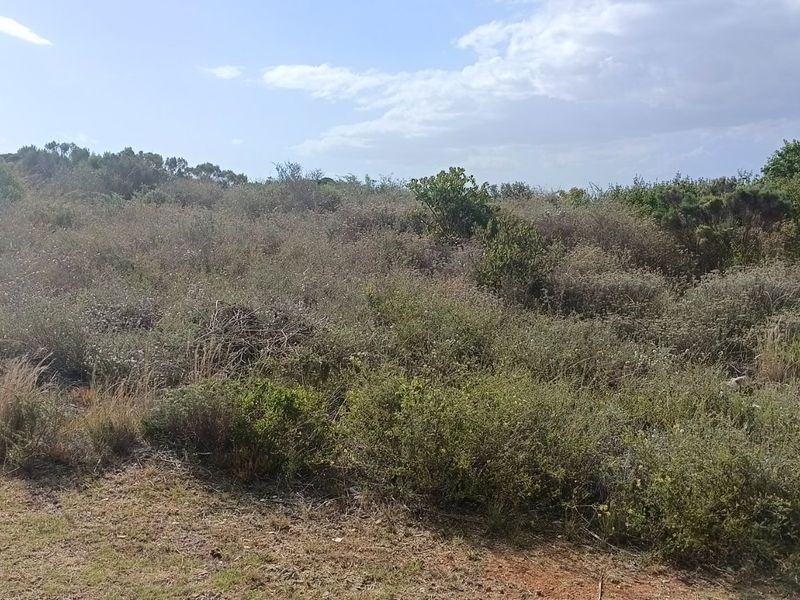 Hartenbos Heuwels: Exciting New Construction Opportunity! - Photo 7