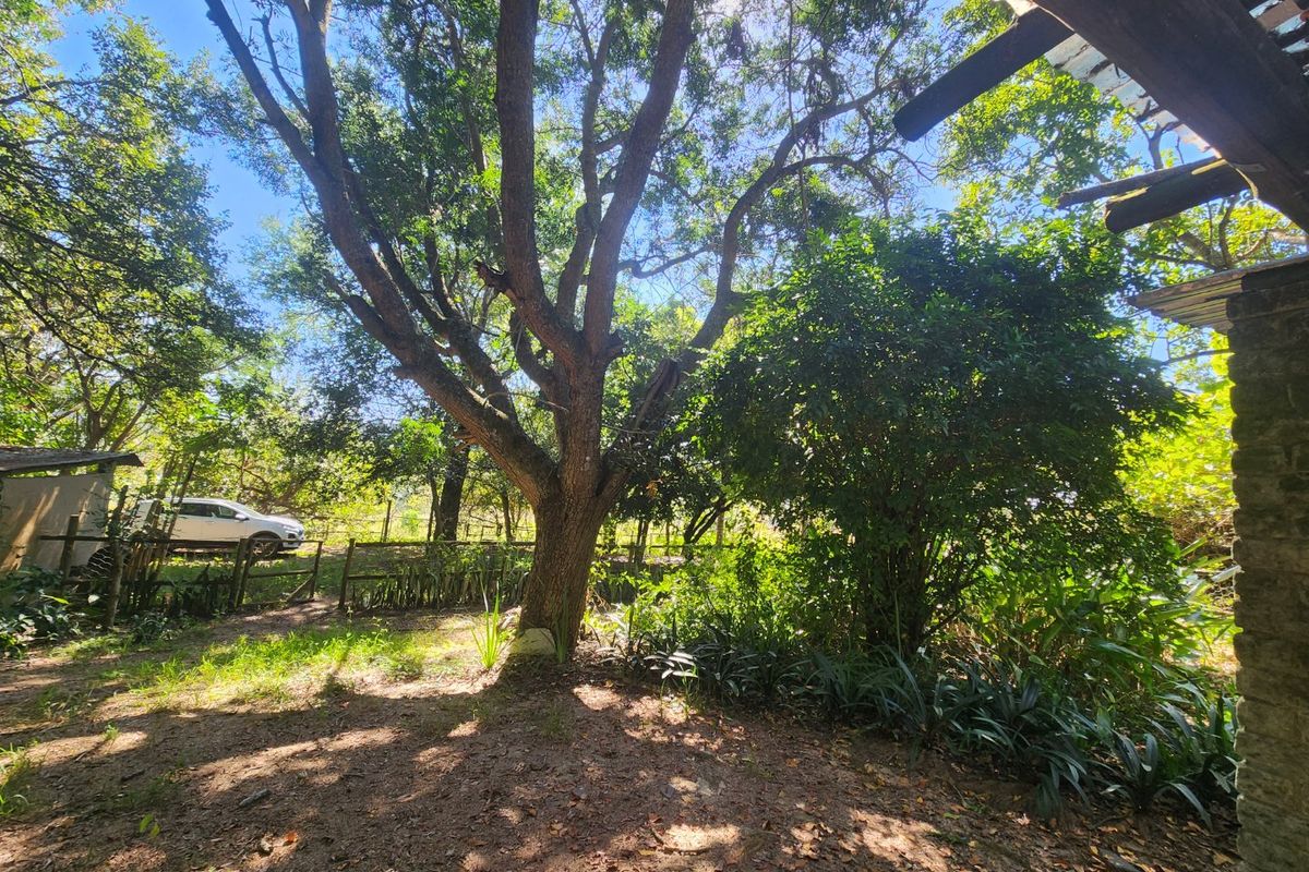 Stunning  Farmhouse in Nature, Close to Town - Photo 3