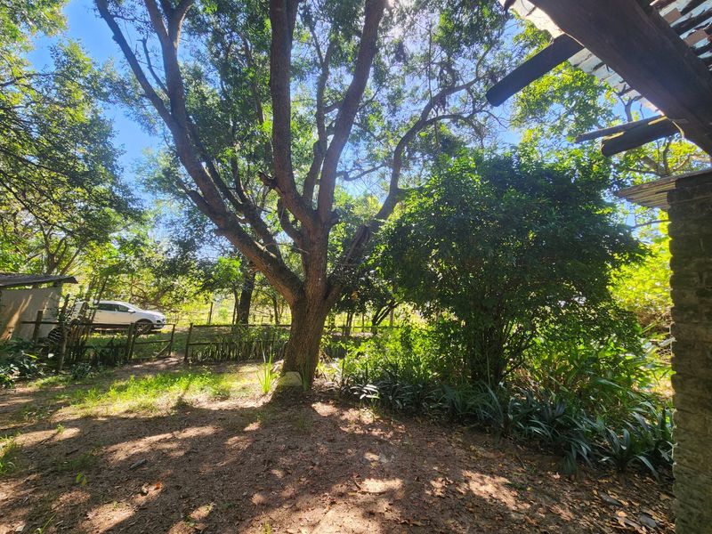 Stunning  Farmhouse in Nature, Close to Town - Photo 3