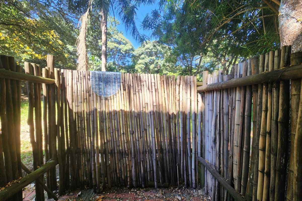 An outdoor area featuring a bamboo privacy screen and brick paved flooring, surrounded by mature trees and garden foliage.