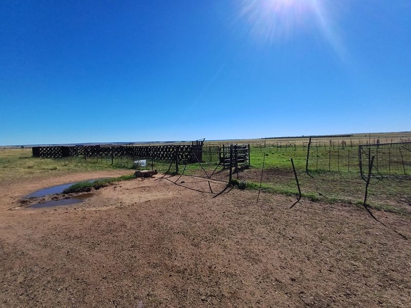 Exceptional Mixed Farming Opportunity in Klerksdorp Rural – 2 Farms in 1 - Photo 10