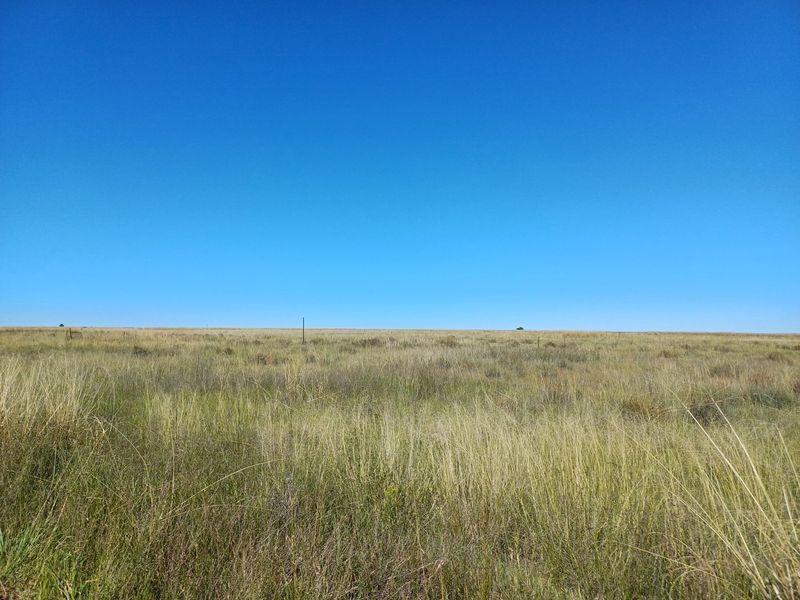 Exceptional Mixed Farming Opportunity in Klerksdorp Rural – 2 Farms in 1 - Photo 9