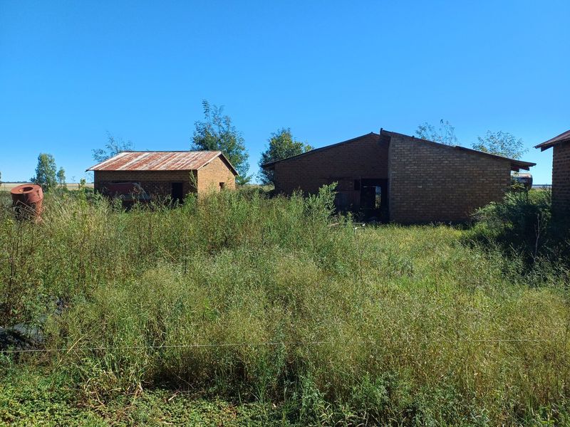 Exceptional Mixed Farming Opportunity in Klerksdorp Rural – 2 Farms in 1 - Photo 6