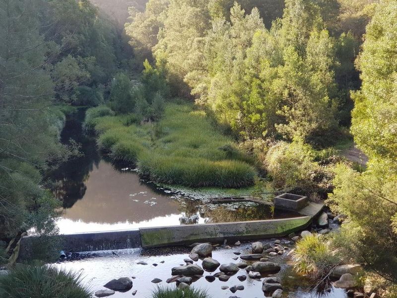 Indigenous forest with views. - Photo 6
