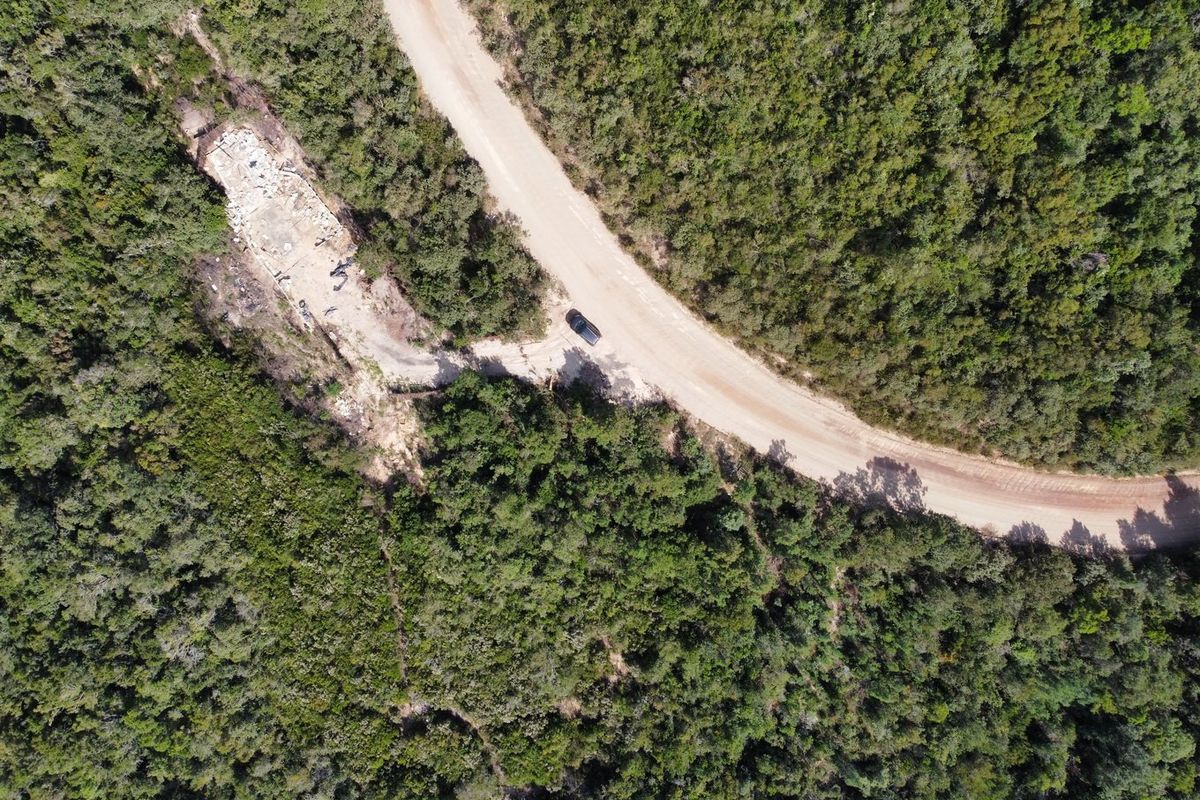 Indigenous forest with views. - Photo 5