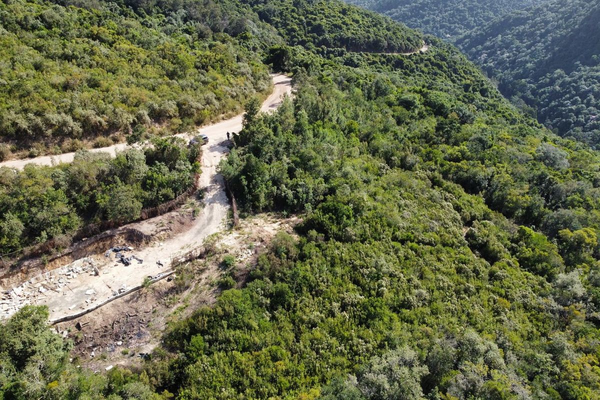Indigenous forest with views. - Photo 4