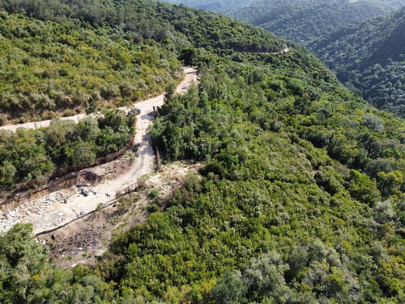 Indigenous forest with views. - Photo 4