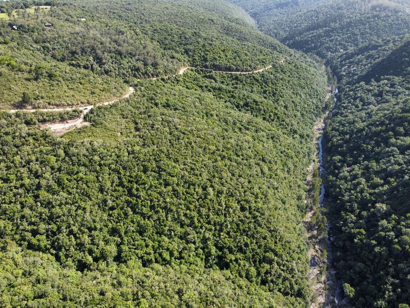 Indigenous forest with views. - Photo 3