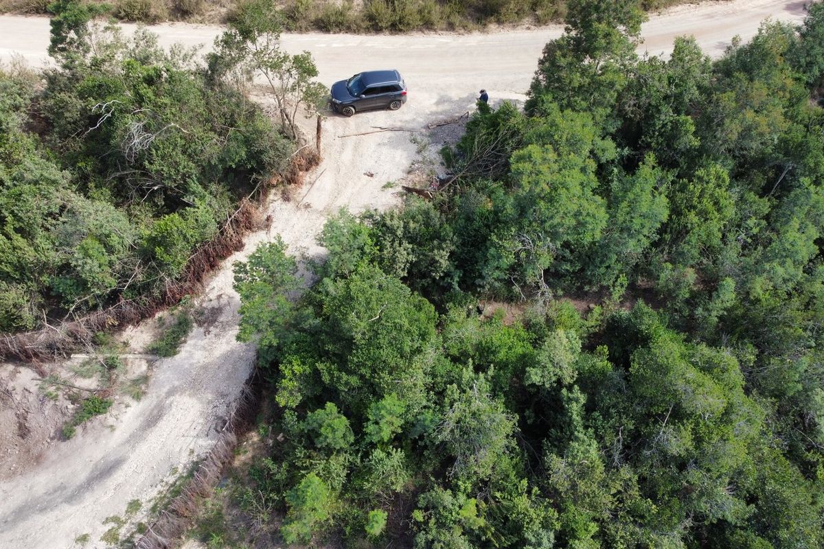 Indigenous forest with views. - Photo 2