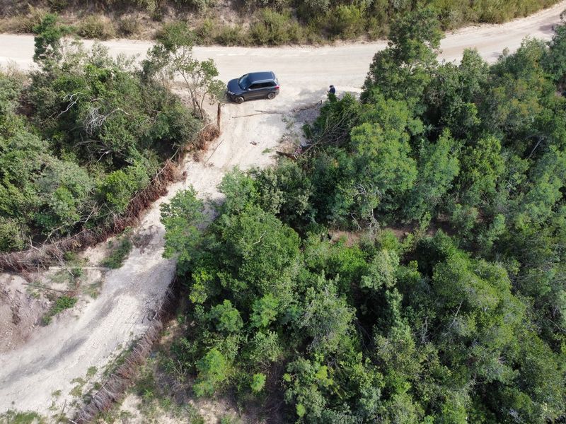 Indigenous forest with views. - Photo 2