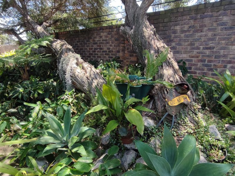 Sole & Exclusive Mandate: A lucrative property that effortlessly generates income for you! - Photo 10