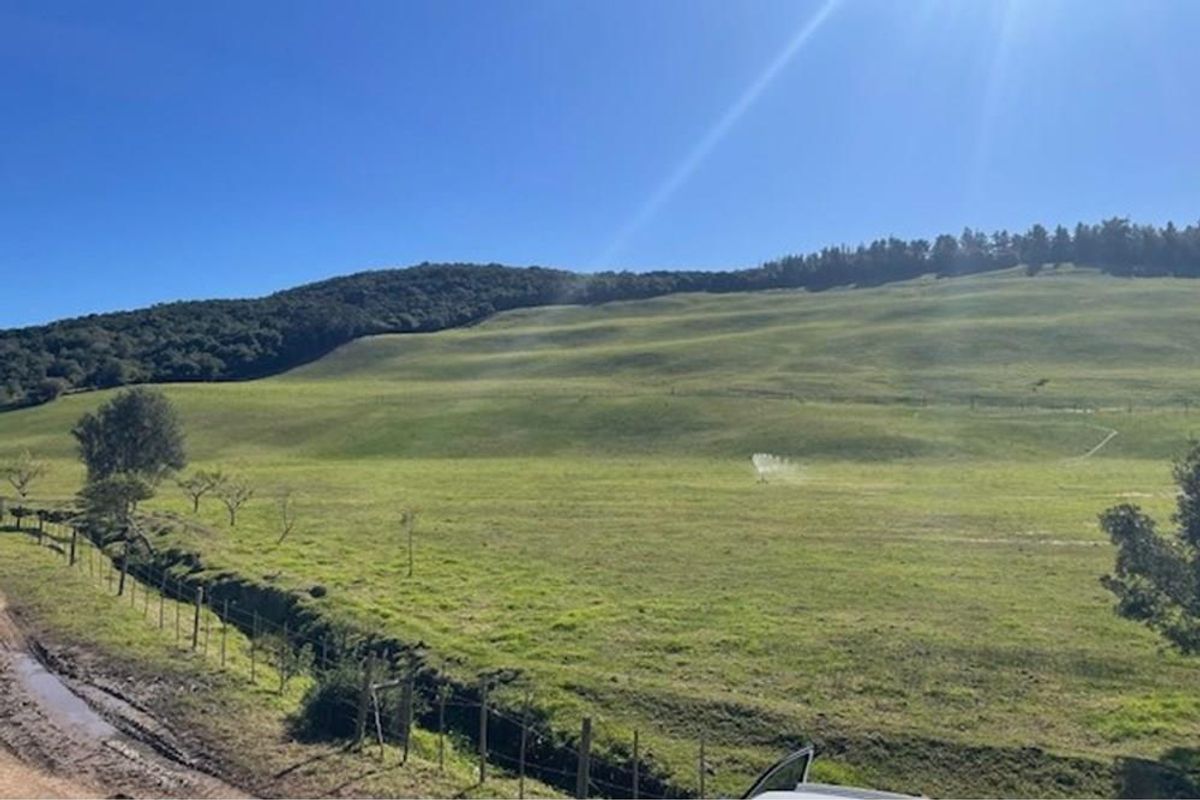 Farmland with potential in Plettenberg Bay - Photo 3