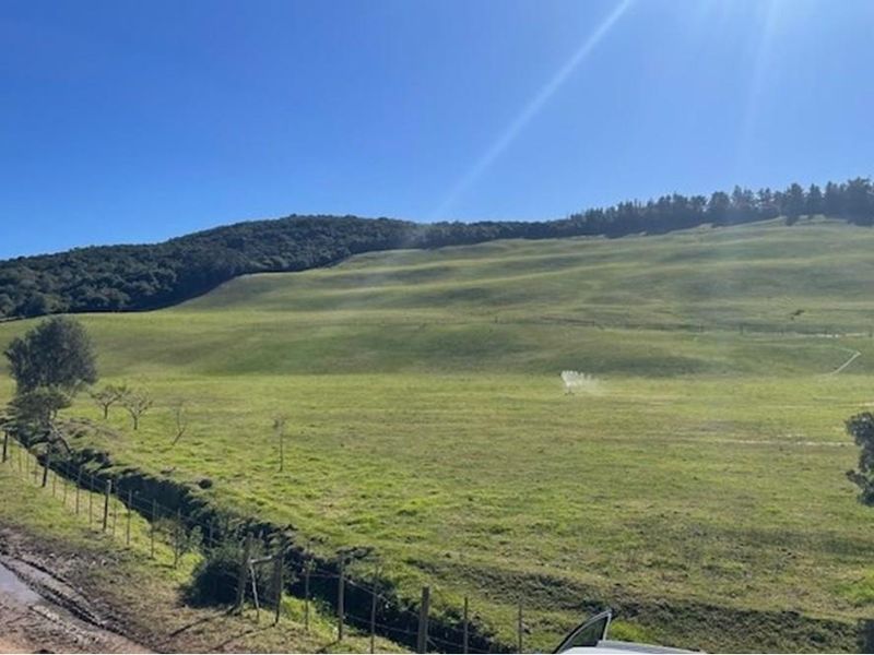 Farmland with potential in Plettenberg Bay - Photo 3