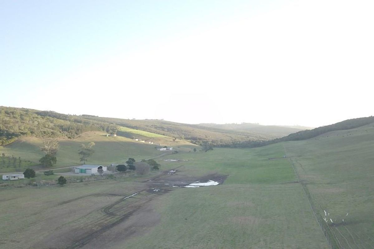 Farmland with potential in Plettenberg Bay - Photo 4