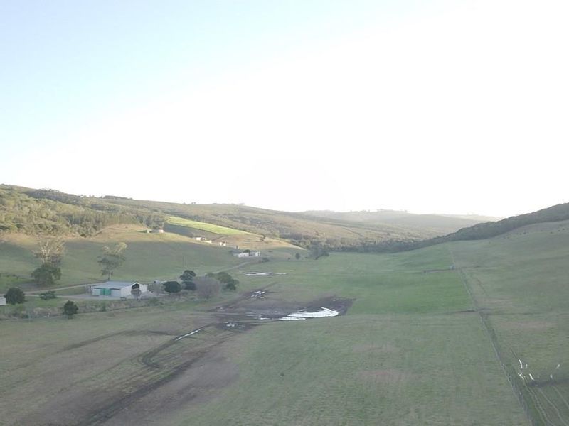 Farmland with potential in Plettenberg Bay - Photo 4