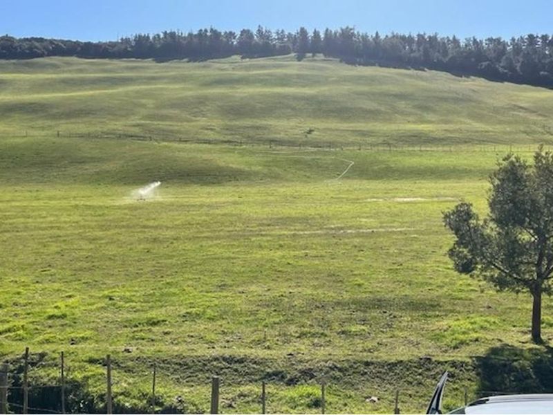Farmland with potential in Plettenberg Bay - Photo 10