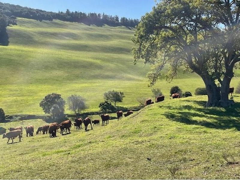 Farmland with potential in Plettenberg Bay - Photo 9
