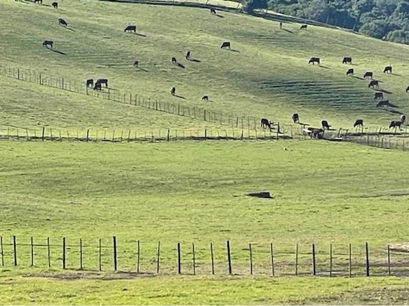 Farmland with potential in Plettenberg Bay - Photo 8