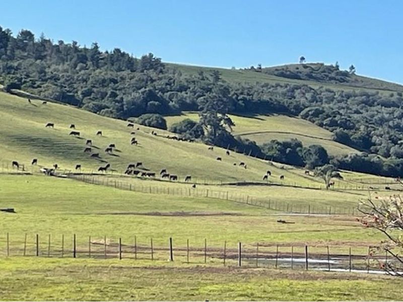 Farmland with potential in Plettenberg Bay - Photo 5
