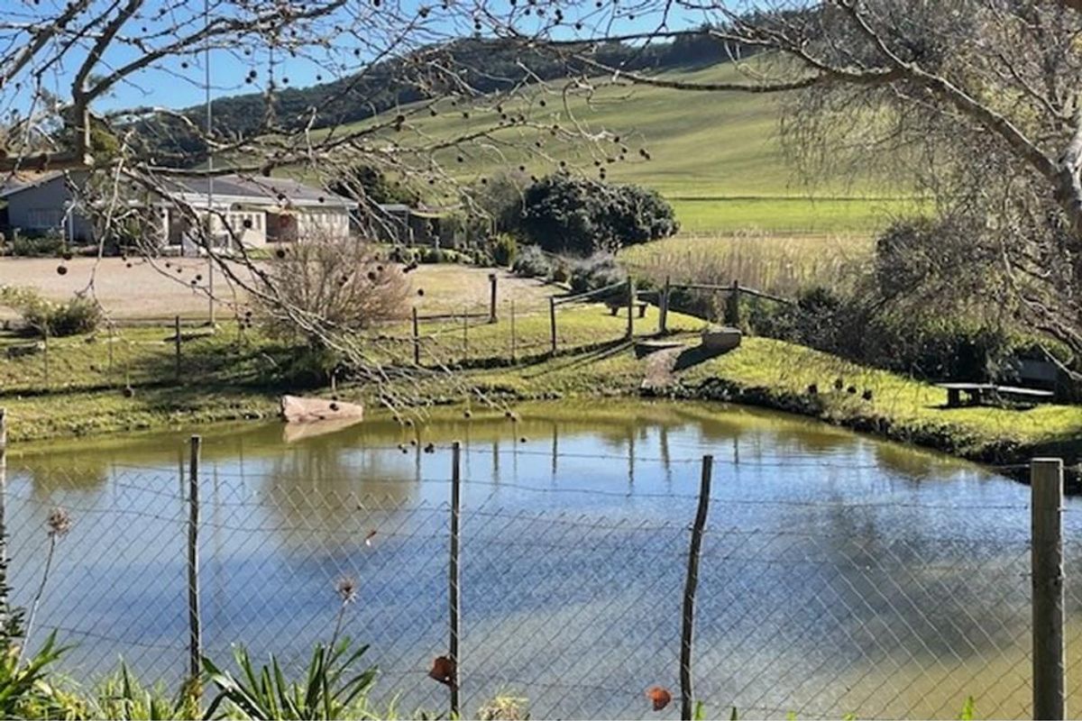 Farmland with potential in Plettenberg Bay - Photo 2