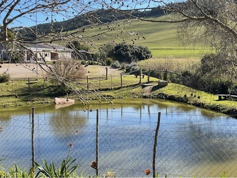 Farmland with potential in Plettenberg Bay - Photo 2