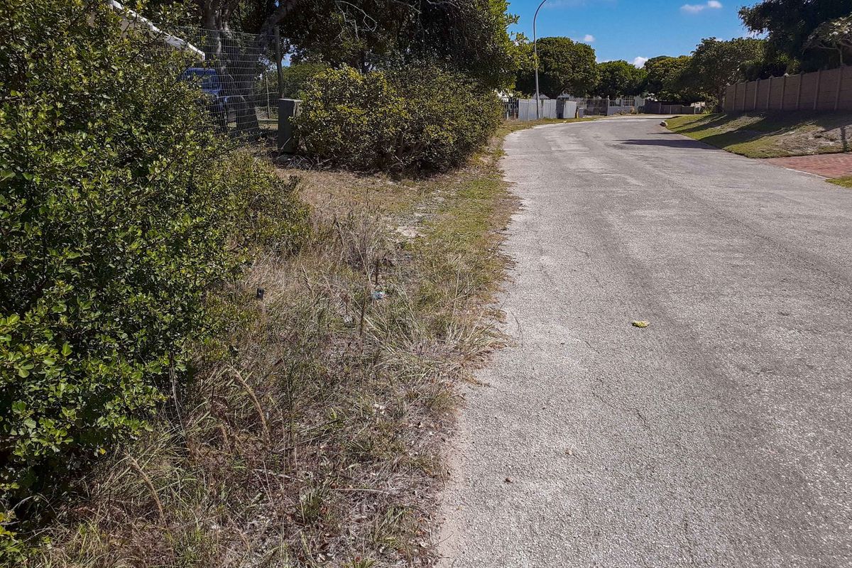 A view of the asphalt street and verge adjacent to the residential property, featuring established trees and boundary fencing.