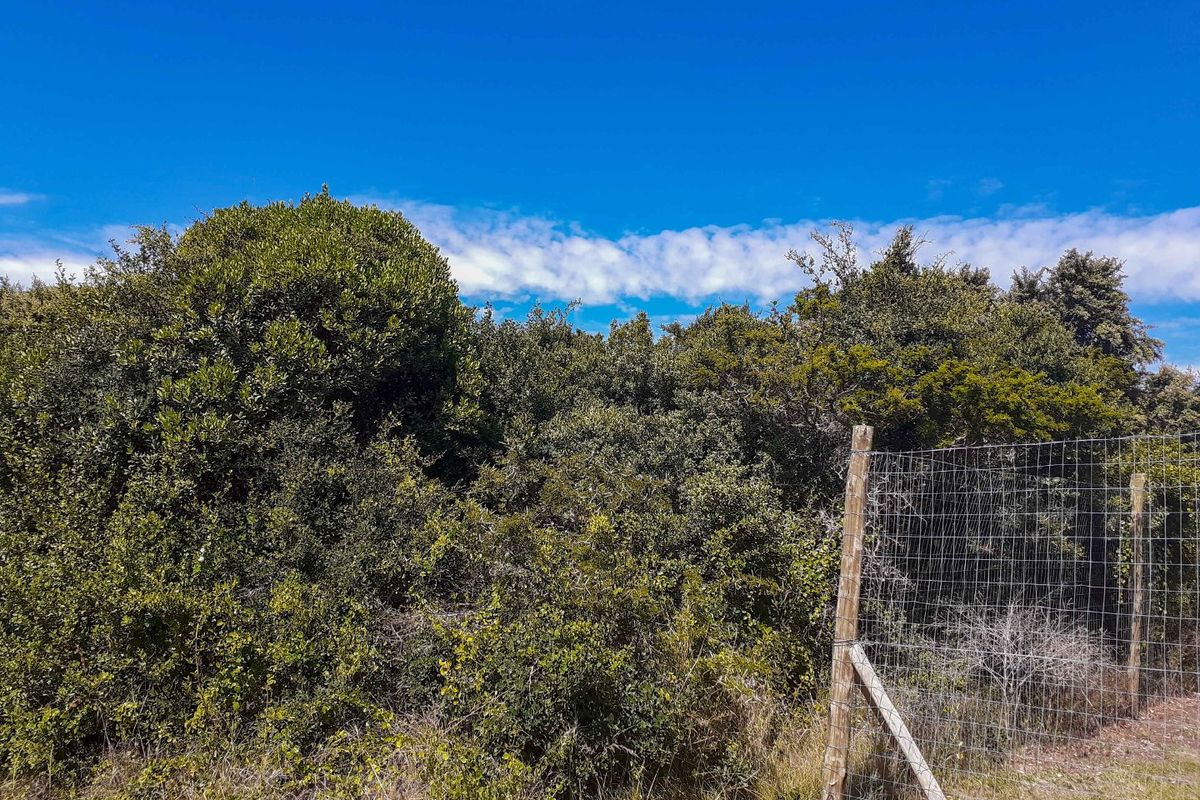 A view of a vacant residential plot featuring dense natural vegetation and perimeter wire mesh fencing with wooden posts.