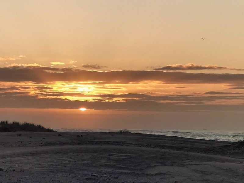 Your Coastal dream awaiits - Photo 8